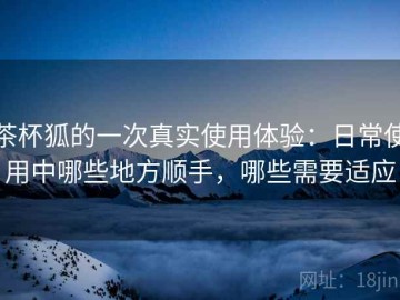 茶杯狐的一次真实使用体验：日常使用中哪些地方顺手，哪些需要适应