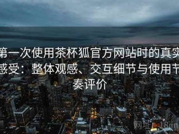 第一次使用茶杯狐官方网站时的真实感受：整体观感、交互细节与使用节奏评价