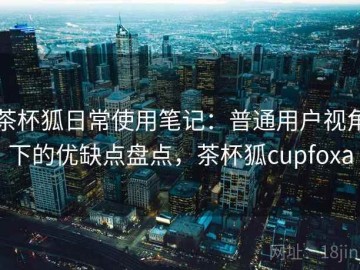 茶杯狐日常使用笔记：普通用户视角下的优缺点盘点，茶杯狐cupfoxa