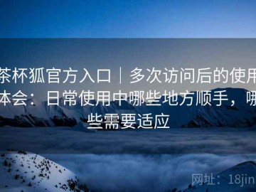 茶杯狐官方入口｜多次访问后的使用体会：日常使用中哪些地方顺手，哪些需要适应