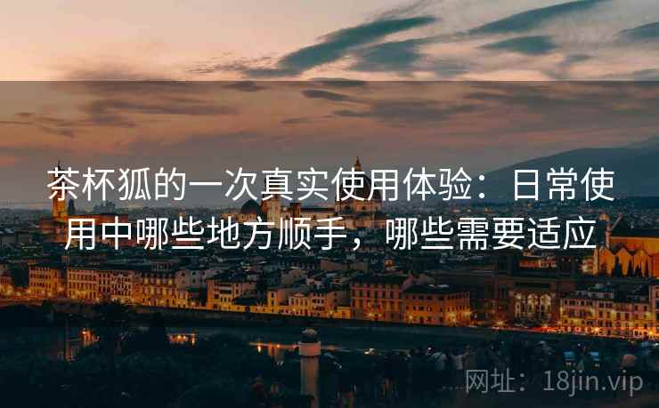 茶杯狐的一次真实使用体验:日常使用中哪些地方顺手,哪些需要适应 茶杯狐的一次真实使用体验:日常使用中哪些地方顺手,哪些需要适应