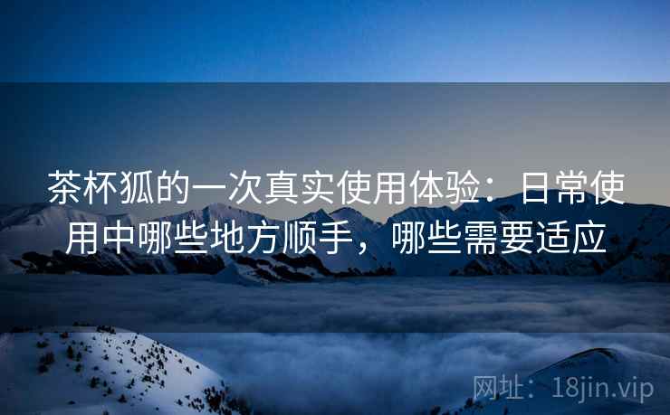 茶杯狐的一次真实使用体验:日常使用中哪些地方顺手,哪些需要适应 茶杯狐的一次真实使用体验:日常使用中哪些地方顺手,哪些需要适应