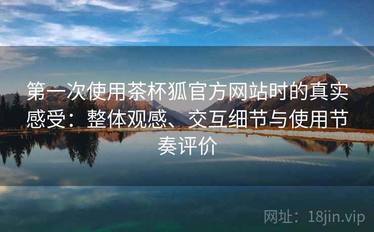 第一次使用茶杯狐官方网站时的真实感受：整体观感、交互细节与使用节奏评价